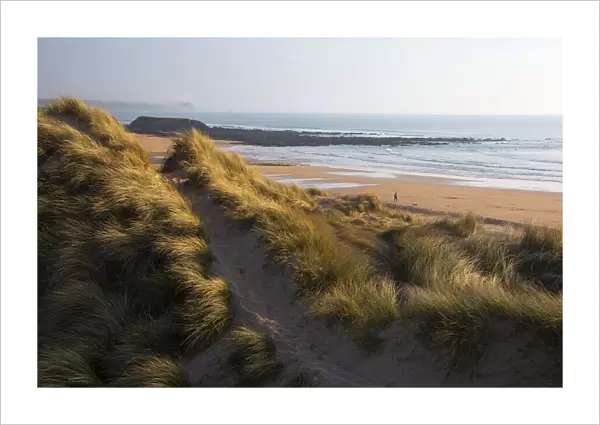 United Kingdom, Wales, Pembrokeshire. Dunes of Freshwater West Beach, Pembrokeshire