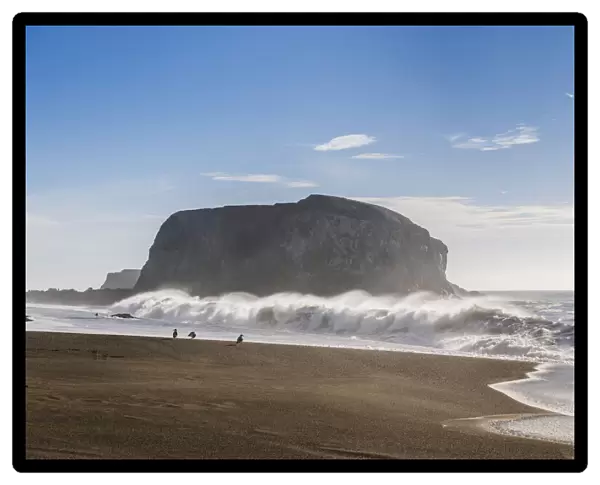 Large haystack rock with crashing waves and birds on the beach in California