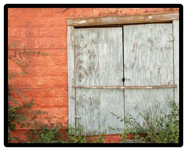 USA, New Mexico, Taos. Mission Ranchos de Taos, Colorful orange wall and weathered