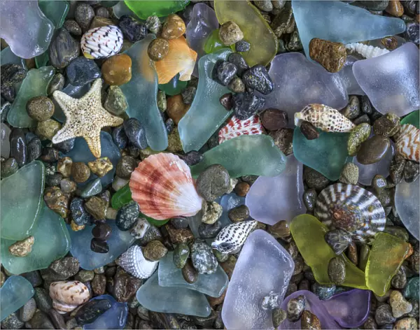 USA, Washington State, Seabeck. Sea shells and beach glass close-up