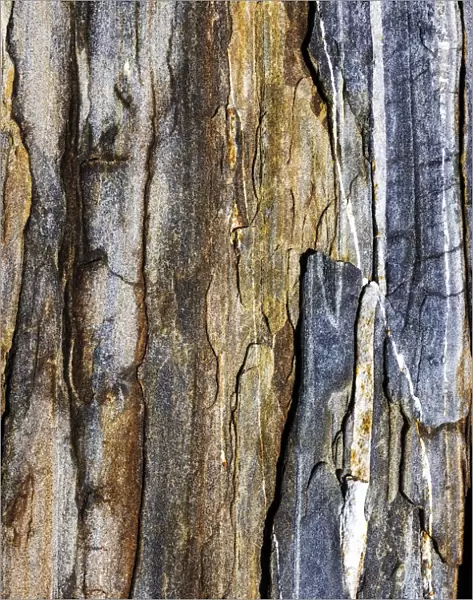Striated rock at Pemaquid Point, Maine, USA