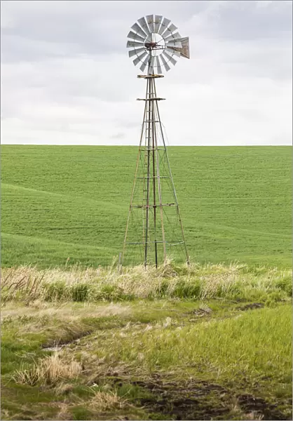 Palouse, Washington State, USA. Windmill in wheat field in the Palouse hills