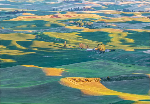 Steptoe Butte State Park, Washington State, USA. Sunset view of wheat farms in