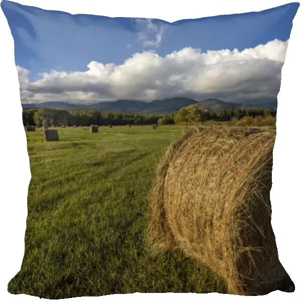 Hay bales with Big Mountain in Whitefish, Montana, USA