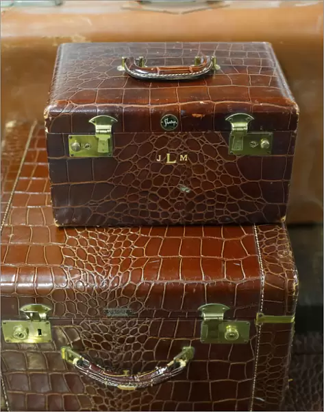 Vintage alligator skin luggage