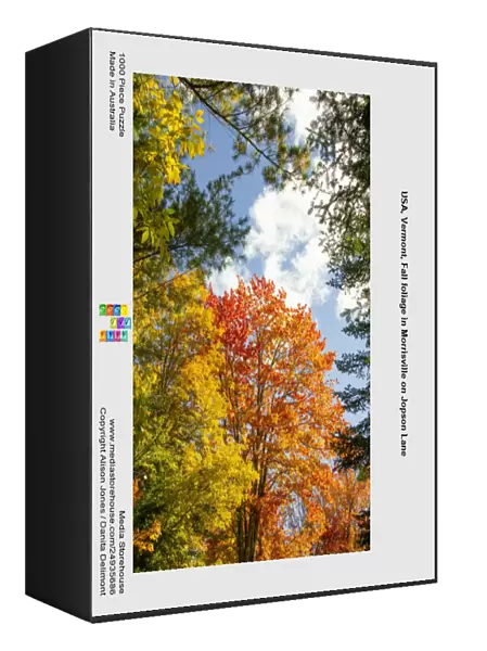 USA, Vermont, Fall foliage in Morrisville on Jopson Lane