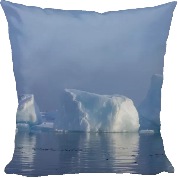 Norway, High Arctic. Ice landscape with icebergs