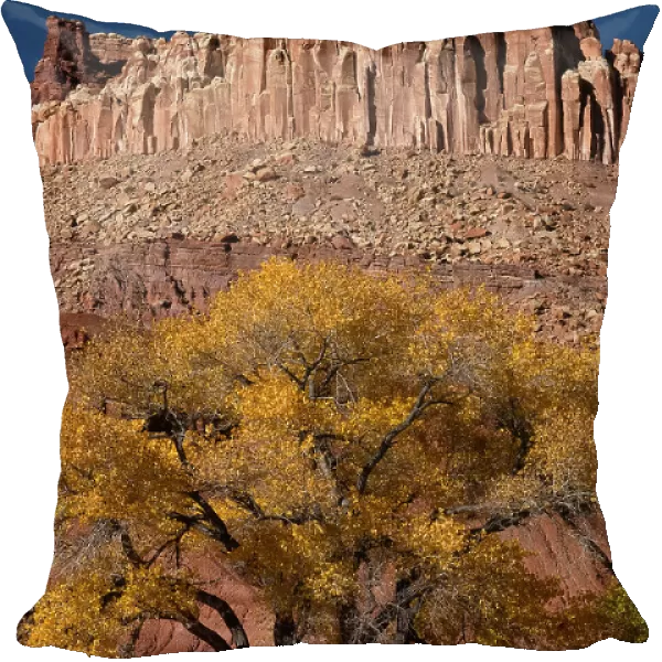 USA, Utah. The Castle, geological features and autumn foliage, Capitol Reef National Park