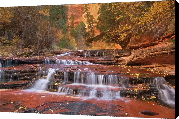 Archangel Falls on Left Fork of North Creek, Zion National Park