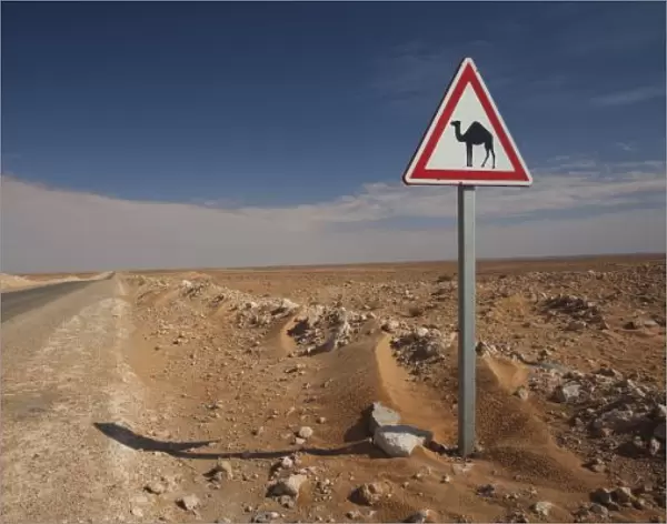 Tunisia, Ksour Area, Ksar Ghilane, Oil Pipeline road with camel crossing sign