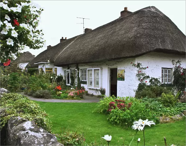 Ireland, Adare. Thatched-roof cottage surrounded by garden