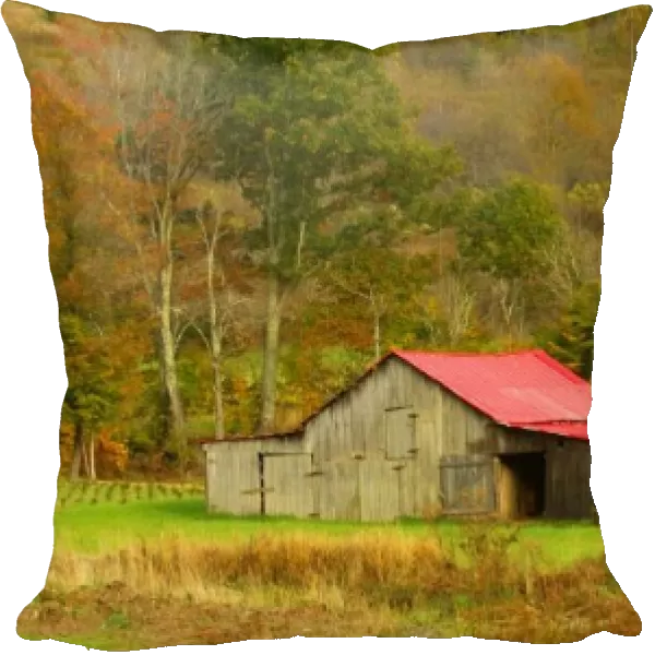 North America, USA, North Carolina, rural weathered old barn with a red roof surrounded