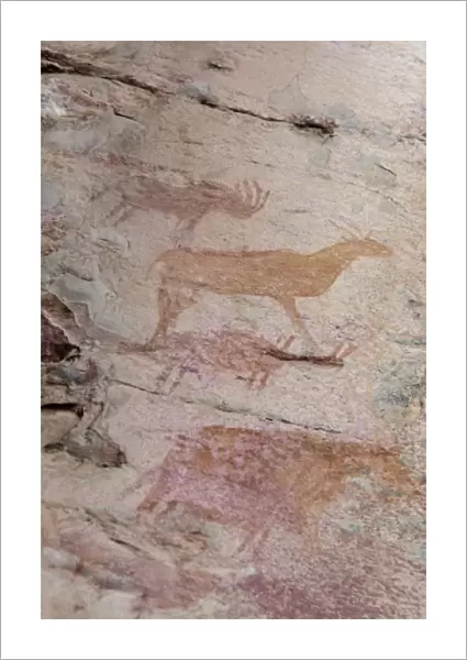 Africa, Botswana, Tsodilo Hills. Ancient Bushman rock art. (UNESCO World Heritage