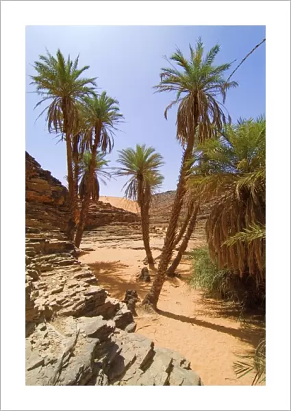 Mauritania, Adrar, Terjit oasis, Vertical view