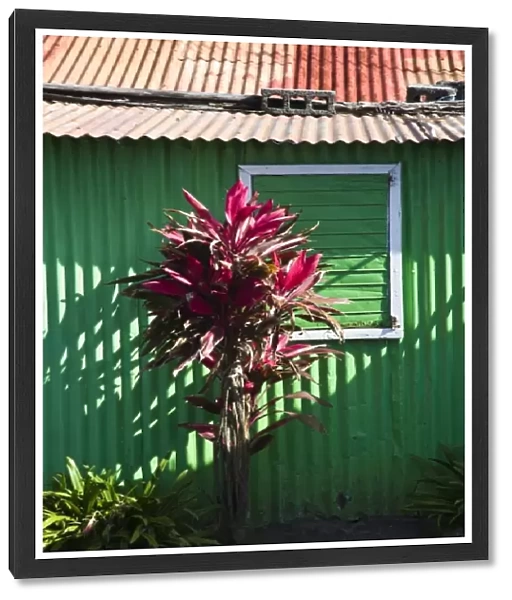Mauritius, Eastern Mauritius, Trou d Eau Douce, beach shack