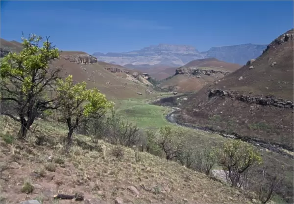 View of Drakensberg Mountains inDrakensberg Royal Natal NP, South Africa