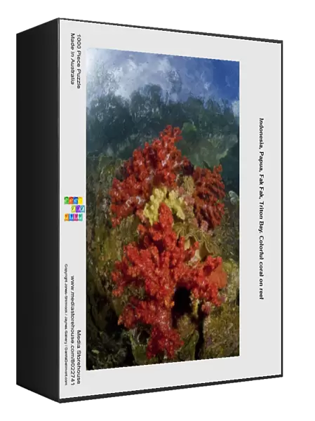 Indonesia, Papua, Fak Fak, Triton Bay. Colorful coral on reef