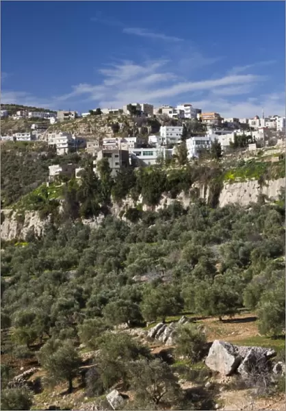 Jordan, Anjara, elevated town view near Ajloun