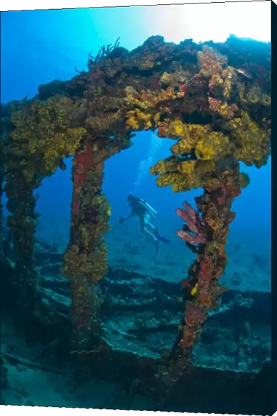 Female teen scuba diver, Wreck of the RMS Rhone, sank after the Great Hurricane of
