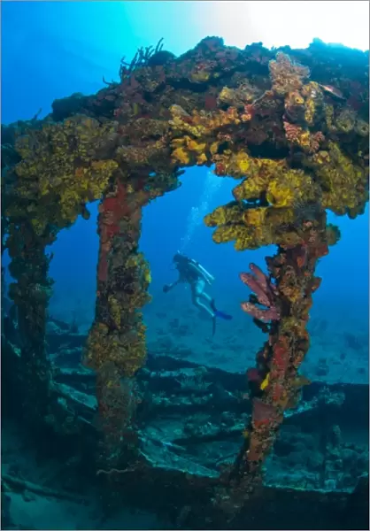 Female teen scuba diver, Wreck of the RMS Rhone, sank after the Great Hurricane of