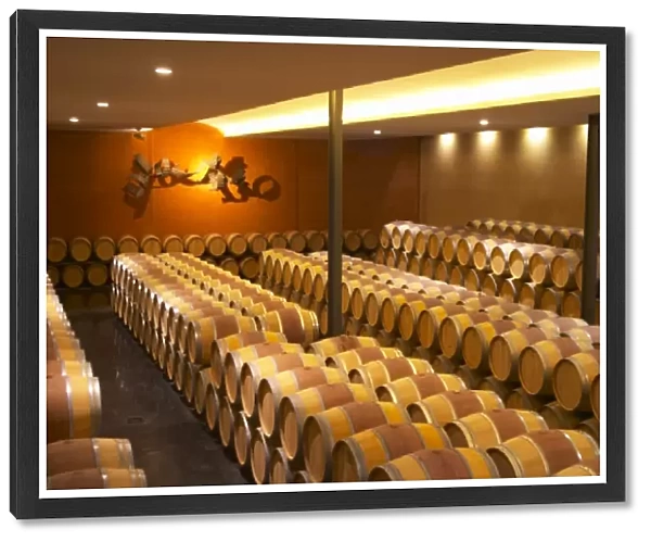 The barrel aging cellar with a sculpture on the far end wall symbolising the flight