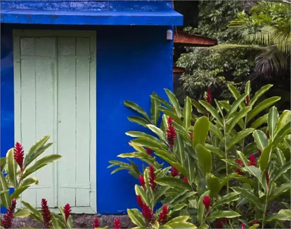 France, Reunion Island, East Reunion, Piton Ste-Rose, blue Creole house with Red Ginger flowers