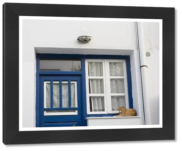 Greece, Mykonos. Orange tabby cat rests on ledge next to blue door and white window and curtains