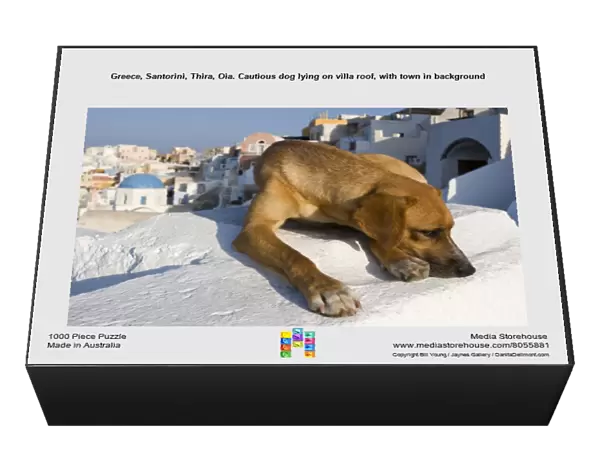 Greece, Santorini, Thira, Oia. Cautious dog lying on villa roof, with town in background