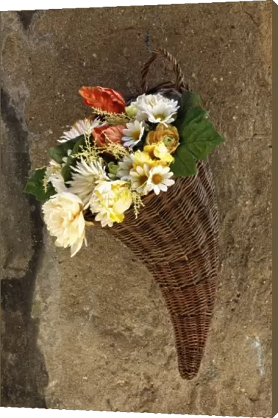 Basket of flowers on wall, Tuscany
