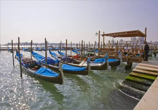 Italy, Venice, Grand Canal. Gondolas lined up awaiting rental