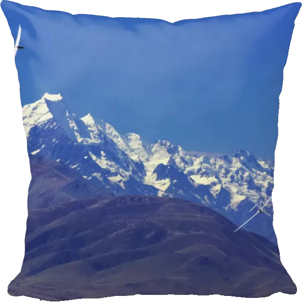 Gliders and Aoraki  /  Mt Cook, Mackenzie Country, South Island, New Zealand