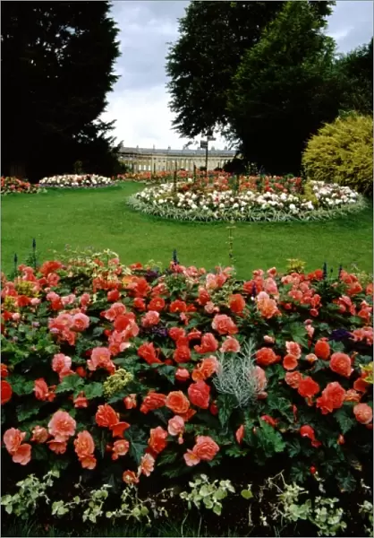 Europe, United Kingdom, England, Bath. Royal Victoria Park gardens with Royal Crescent