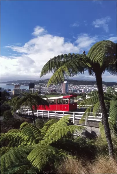 New Zealand, Cable Car, Wellington