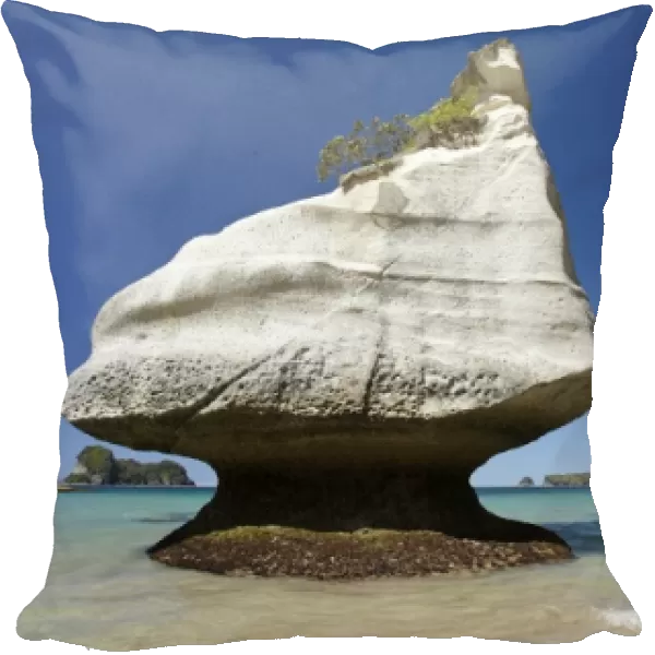 Rock formation, Mares Leg Cove, Cathedral Cove, Coromandel Peninsula, North Island