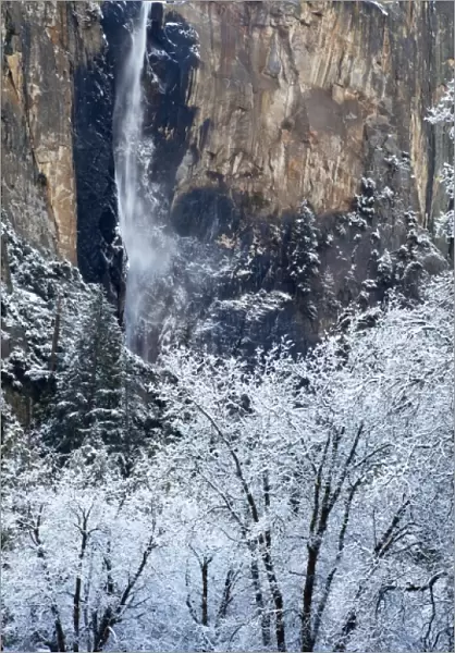 Fresh snowfall coats the trees below Bridalveil Falls in Yosemite National Park, California