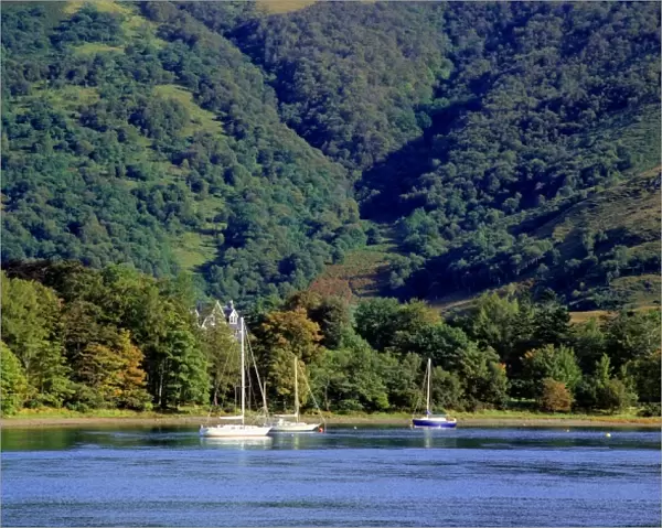Scotland, Highland, Wester Ross, Onich. Sail boats are moored in Onich harbor