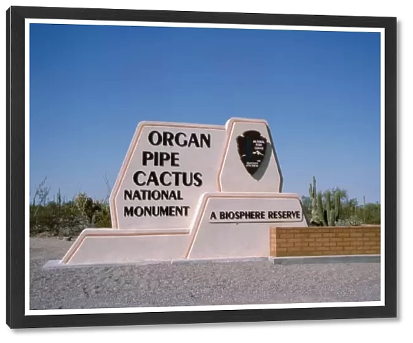 North America, USA, Arizona. Organ Pipe Cactus National Monument