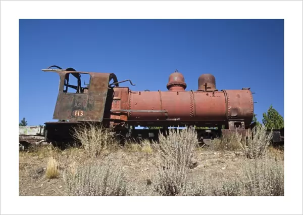 Argentina, Chubut Province, El Maiten. Narrow gauge steam locomotive museum