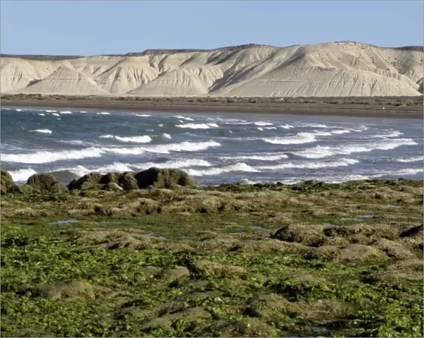 Patagonian coast