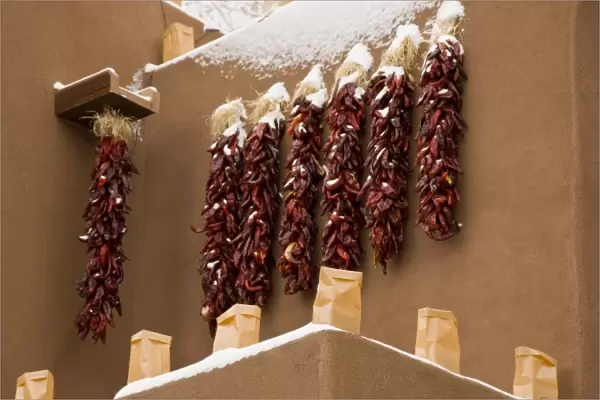 USA, New Mexico, Santa Fe. Close-up of chili pepper ristras hanging on snowy side of adobe building
