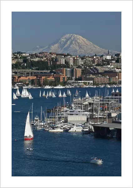 USA, Washington, Seattle. Summer cityscape features Lake Union, sailboats and Mt
