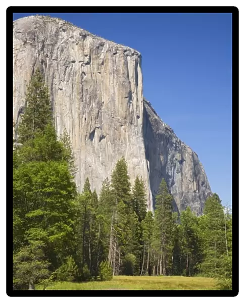 CA, Yosemite NP, El Capitan