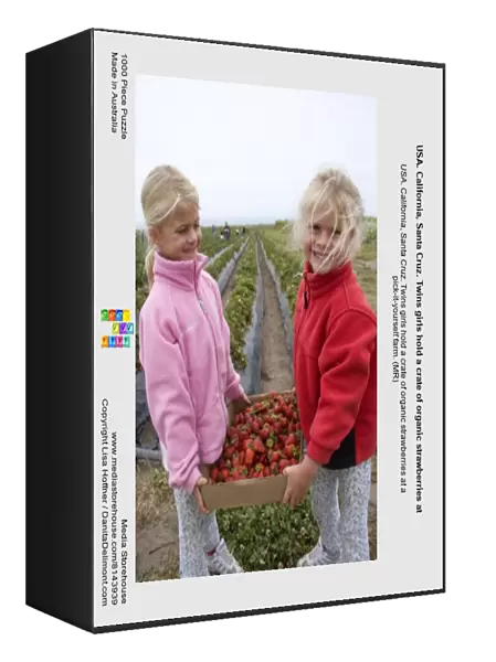 USA. California, Santa Cruz. Twins girls hold a crate of organic strawberries at