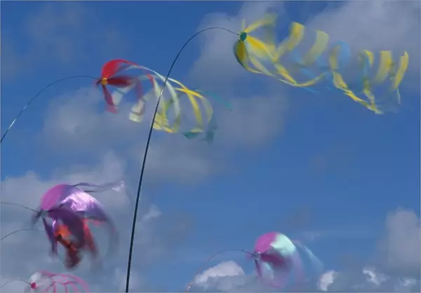 USA, Washington, Long Beach. Kites on the beach