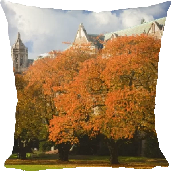 WA, Seattle, University of Washington, The Quad in autumn