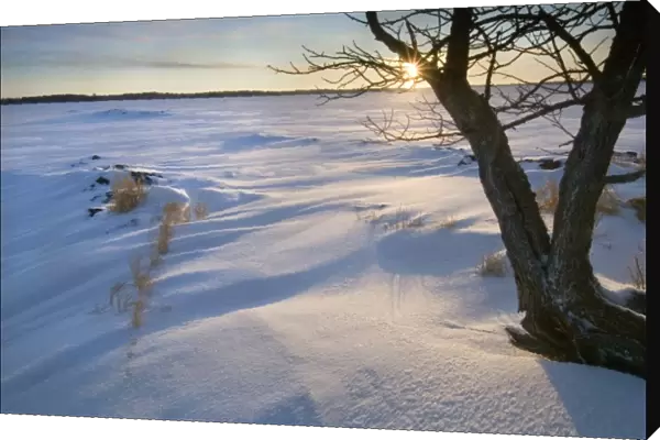 Sunrise, from the Grassy Islands, Lake Kabetogama, Voyageurs National Park, Minnesota