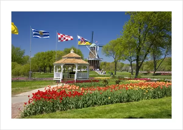 Windmill Island park with tulips in bloom at Holland, Michigan