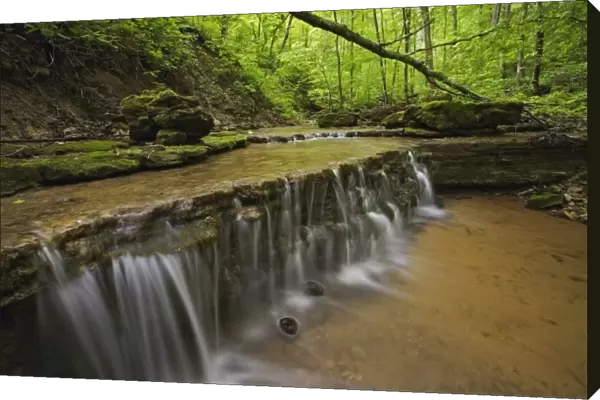Tiny creek cascading off shelf, near Louisville, Kentucky