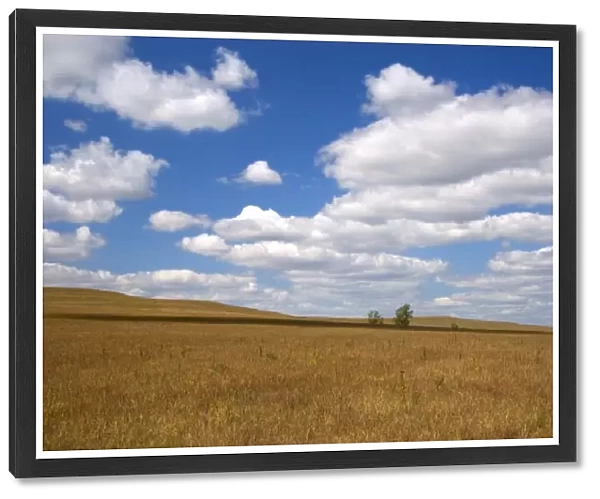 The Tallgrass Prairie National Preserve near Strong City, Kansas