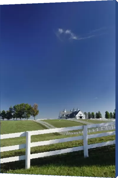 Manchester horse farm, Lexington, Kentucky